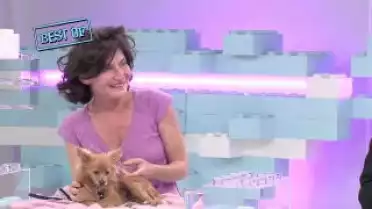 Best-Of Moments du Journal