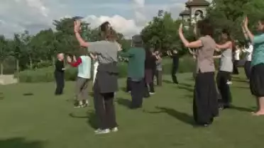 C&#039;est arrivé près de chez vous - Fête de la Danse