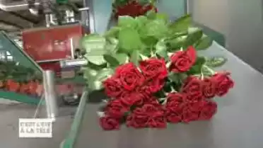 C'est l'été à la télé du 21.07.11 - Le Chablais