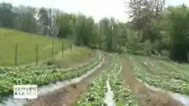 C&#039;est l&#039;été à la télé du 27.07.11 - Les Rivières - La Venoge