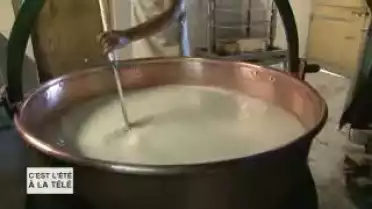 C&#039;est l&#039;été à la télé du 04.08.11 - La montagne - La Gruyère