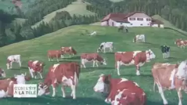 C&#039;est l&#039;été à la télé du 08.08.11 - La campagne - La Gruyère