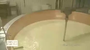 C&#039;est l&#039;été à la télé du 08.08.11 - La campagne - La Gruyère