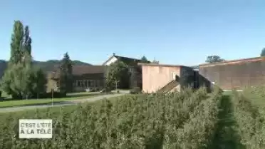 C&#039;est l&#039;été à la télé du 11.08.11 - La campagne - La Broye vaudoise