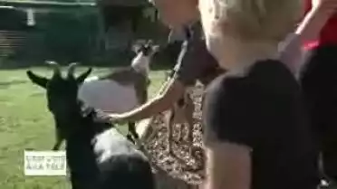 C&#039;est l&#039;été à la télé du 11.08.11 - La campagne - La Broye vaudoise