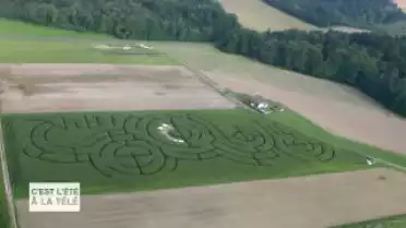 C&#039;est l&#039;été à la télé du 12.08.11 - La campagne - Le Gros-de-Vaud