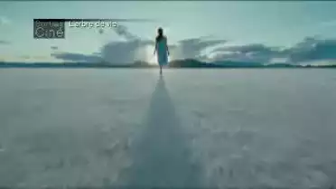 Sorties Ciné du 17.05.11