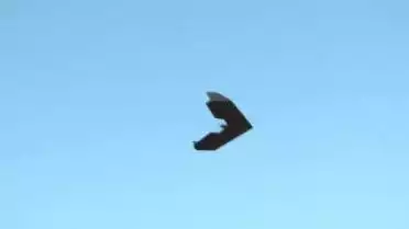 Prix Strategis 2011 - Sensefly