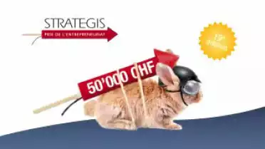 Prix Strategis 2011 - Slyde