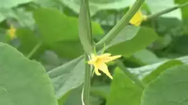 Les Nouvelles de l&#039;été du 26.07.11