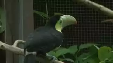 Les Nouvelles de l'été du 03.08.11