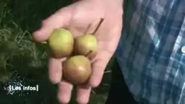 Les Infos du 30.09.11