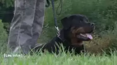 Les Infos du 02.10.11