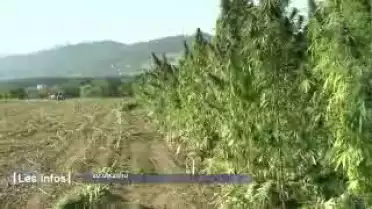 Les Infos du 05.10.11