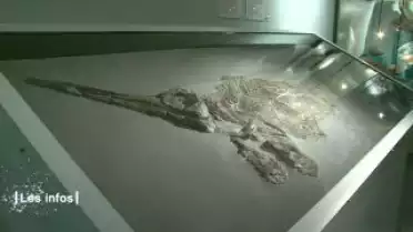 Les Infos du 22.11.11