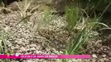 Jardin Malin du 19.07.11
