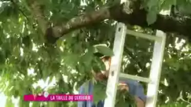 Jardin Malin du 20.09.11