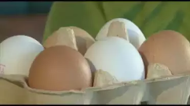 La Minute Nutrition - Oeuf blanc...Oeuf brun...Quelle différence?