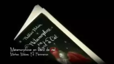 Marque-Page - Métamorphose en bord de ciel