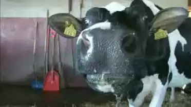 Les Nouvelles FR du 17.01.11