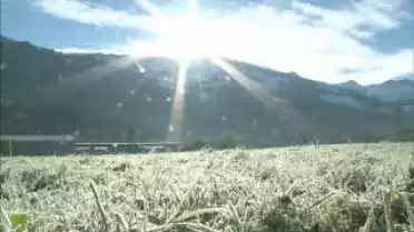 Les Nouvelles FR du 28.01.11