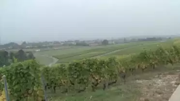 Les Nouvelles VD du 11.01.11