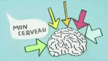 Les Nouvelles VD du 04.03.11