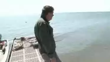 Les Nouvelles VD du 15.04.11