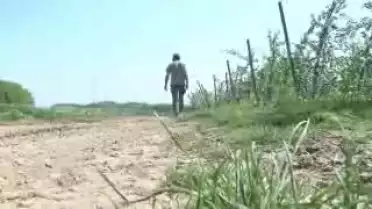 Les Nouvelles VD du 19.04.11