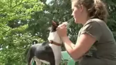 Les Nouvelles VD du 13.05.11