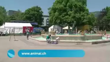 Les Nouvelles VD du 25.05.11