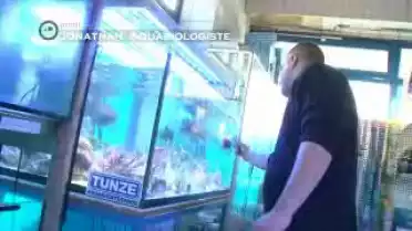 Profil  - Jonathan, aquariologiste