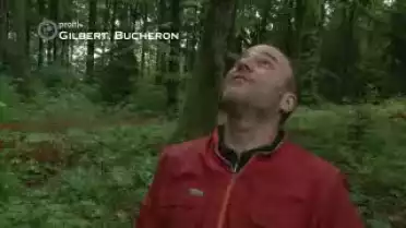 Profil  - Gilbert, Bûcheron