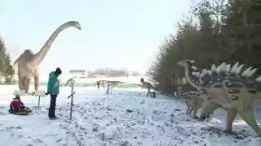 C&#039;est arrivé près de chez vous - Le Monde des Dinosaures à Sugnens (VD)