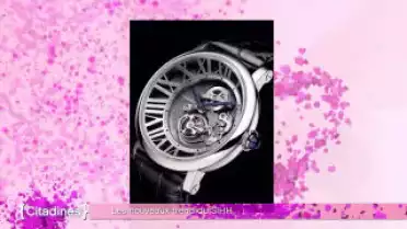 Citadines du 18.01.12