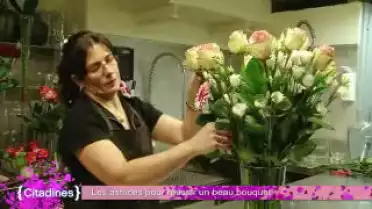 Citadines du 28.03.12