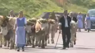 Tout un art...mailli