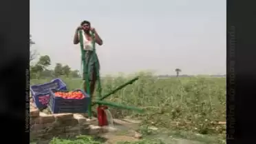 Fenêtre sur notre monde: L&#039;écologie, ça peut rapporter