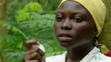 Fenêtre sur notre monde: arme de guerre - Congo