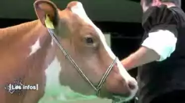 Les Infos du 12.01.12