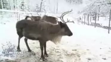 Les Infos du 13.01.12