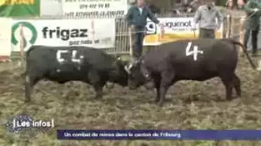 Les Infos du 22.04.12