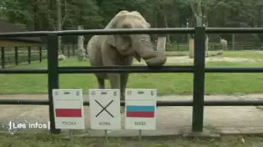 Les Infos du 11.06.12