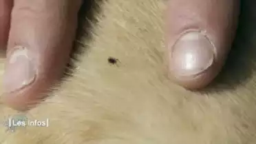 Les Infos du 14.06.12