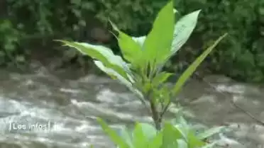 Les Infos du 27.06.12