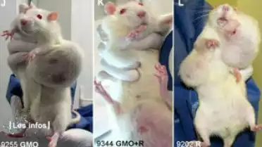 Les Infos du 20.09.12