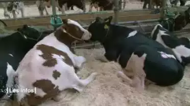 Les Infos du 25.09.12