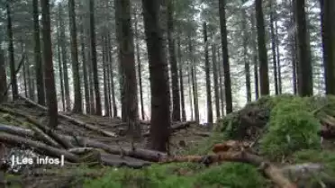 Les Infos du 06.11.12