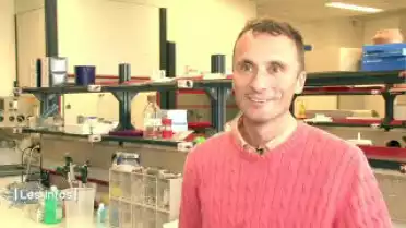 Les Infos du 26.11.12