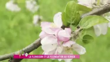 Jardin Malin du 29.05.12